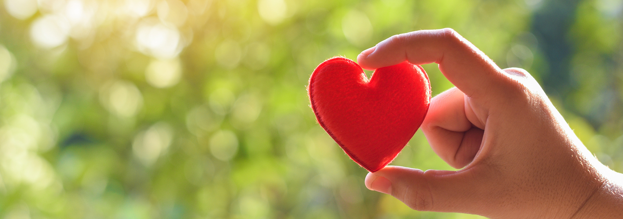 AdobeStock 311650174