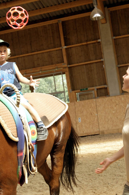 Sterntalerhof Intranet 2018