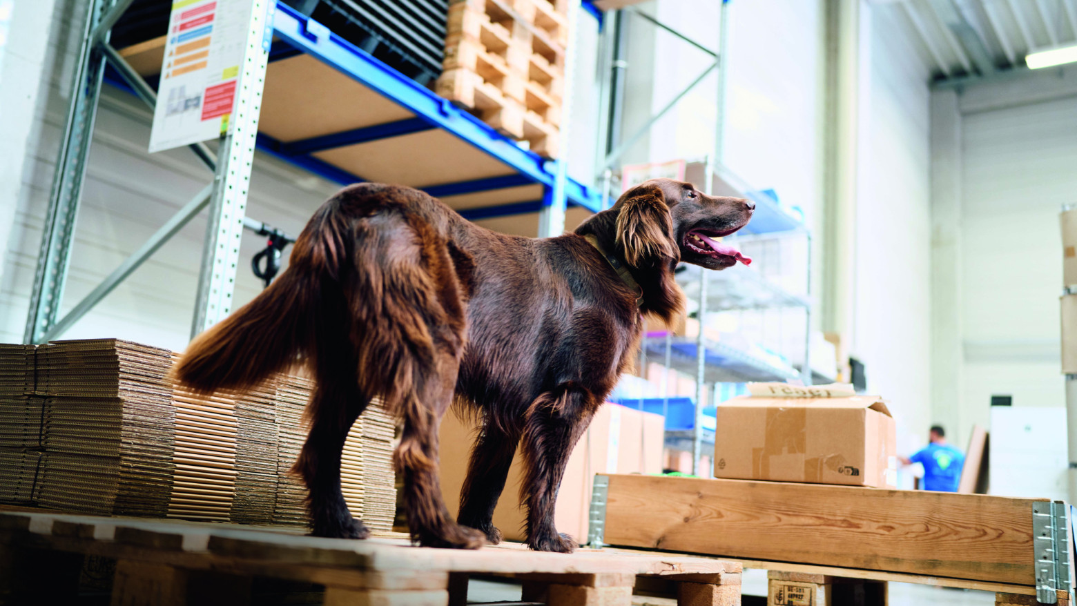 magalog highres DSC08574 303 hsw