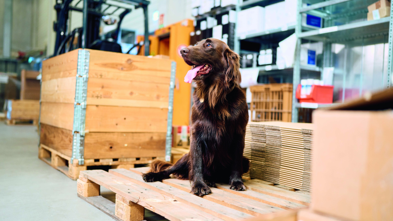 magalog highres DSC08599 309 hsw