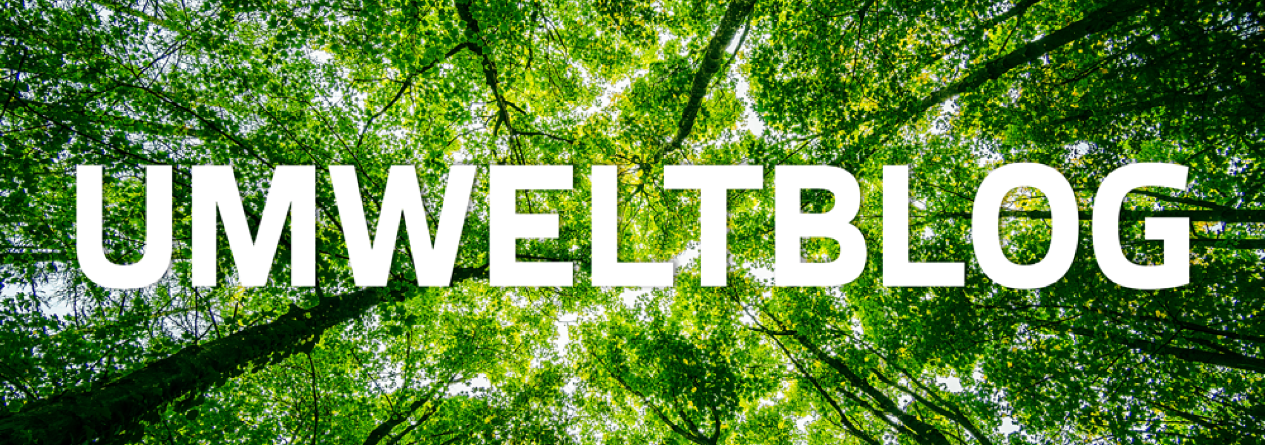 Umwelt Titel02